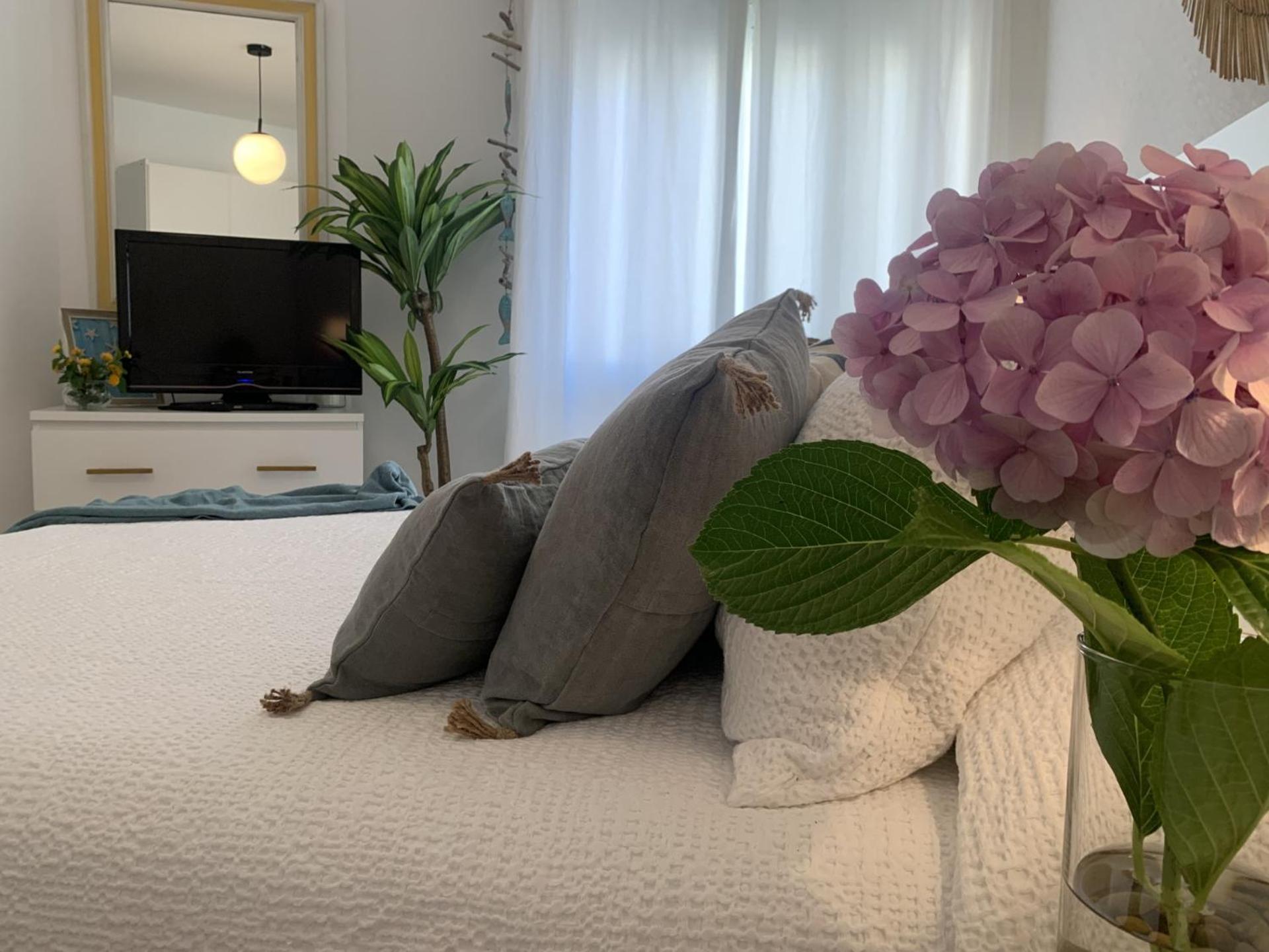 Apartamento סנשנשו מראה חיצוני תמונה